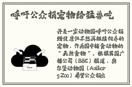 精品无码一区二区三区中文字幕