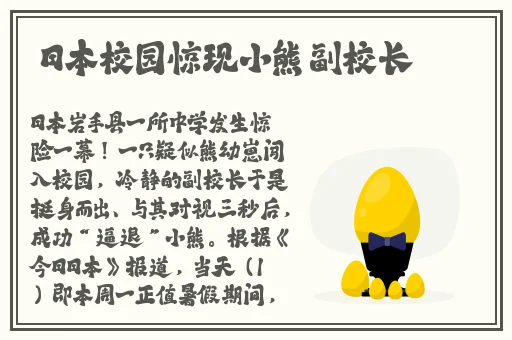 黄网十三区
